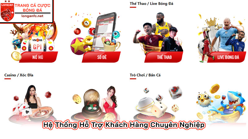 Hệ Thống Hỗ Trợ Khách Hàng Chuyên Nghiệp